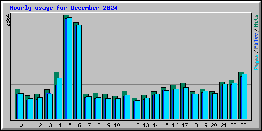 Hourly usage for December 2024