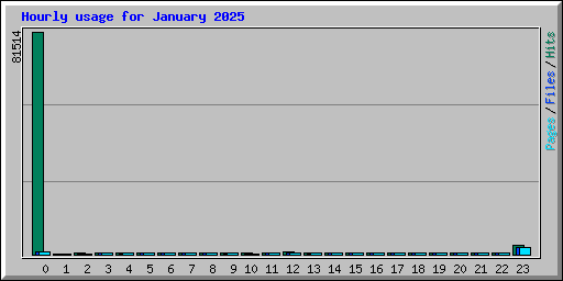Hourly usage for January 2025