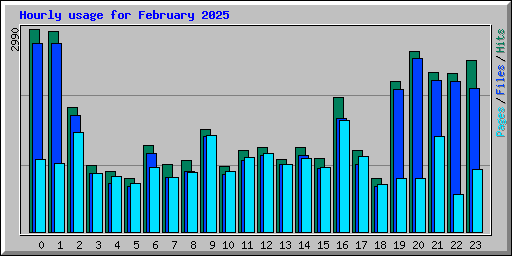 Hourly usage for February 2025