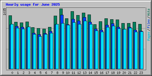 Hourly usage for June 2025