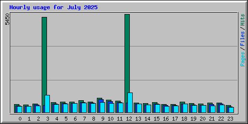 Hourly usage for July 2025