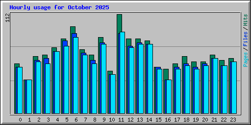 Hourly usage for October 2025