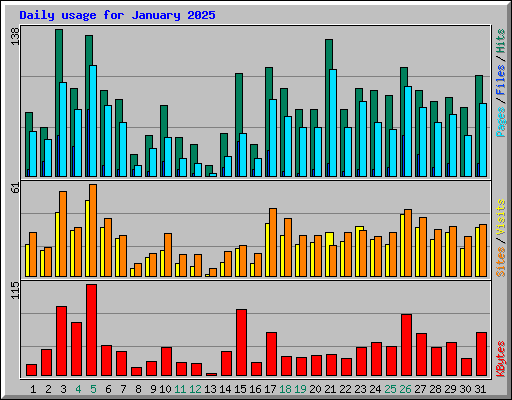 Daily usage for January 2025