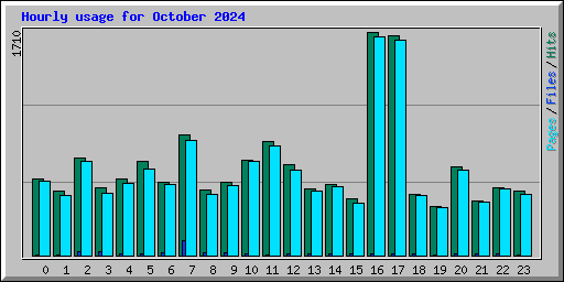 Hourly usage for October 2024