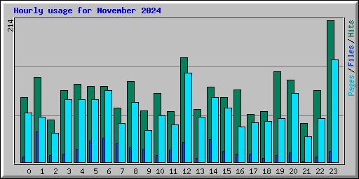Hourly usage for November 2024