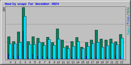Hourly usage for December 2024