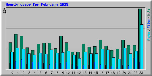 Hourly usage for February 2025
