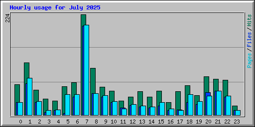 Hourly usage for July 2025