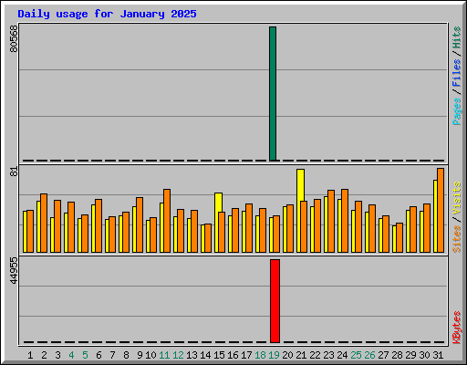 Daily usage for January 2025