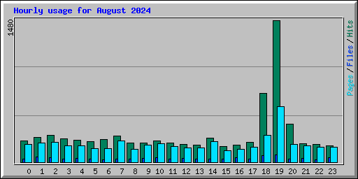 Hourly usage for August 2024