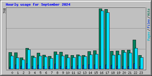 Hourly usage for September 2024
