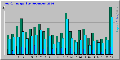 Hourly usage for November 2024