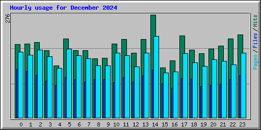 Hourly usage for December 2024