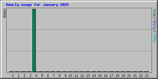 Hourly usage for January 2025