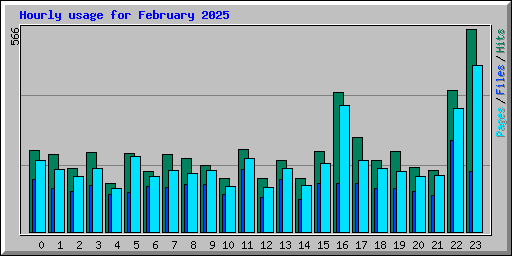 Hourly usage for February 2025