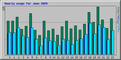 Hourly usage for June 2025