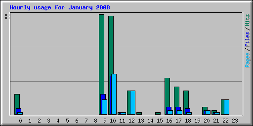 Hourly usage for January 2008