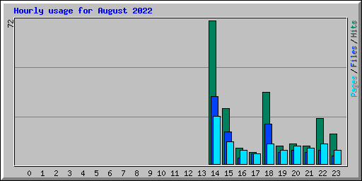 Hourly usage for August 2022