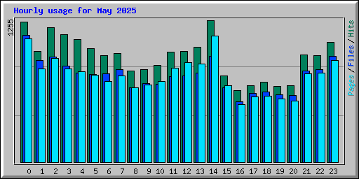 Hourly usage for May 2025