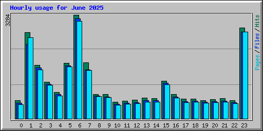 Hourly usage for June 2025