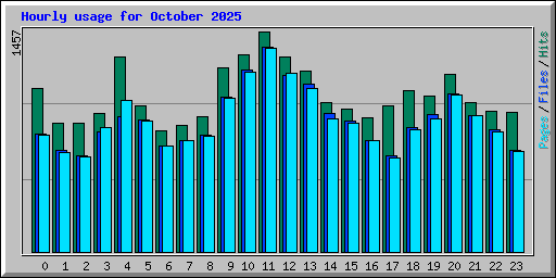 Hourly usage for October 2025