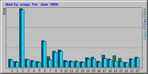 Hourly usage for June 2026