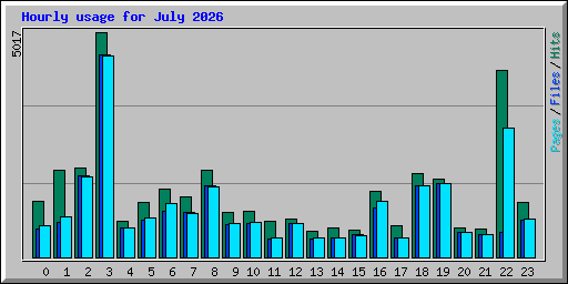 Hourly usage for July 2026