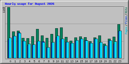 Hourly usage for August 2026