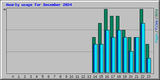 Hourly usage for December 2024