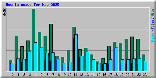 Hourly usage for May 2025