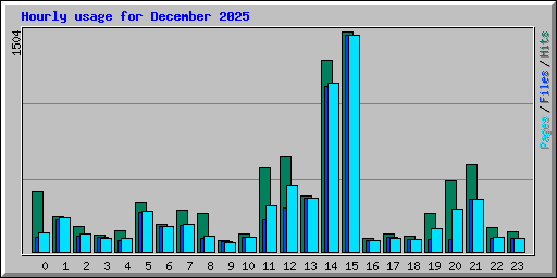 Hourly usage for December 2025