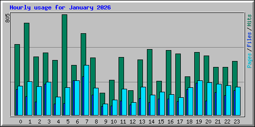Hourly usage for January 2026