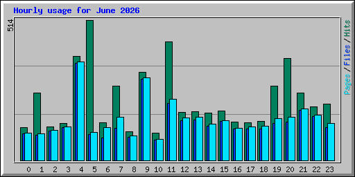 Hourly usage for June 2026