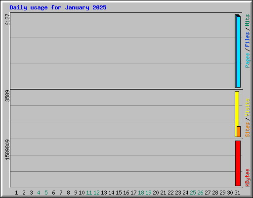 Daily usage for January 2025