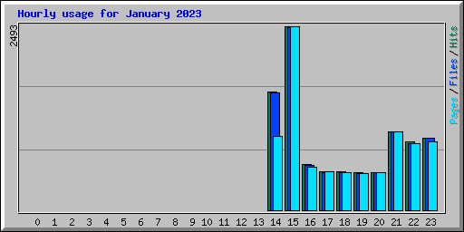 Hourly usage for January 2023