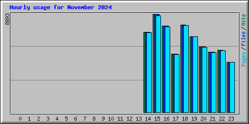 Hourly usage for November 2024