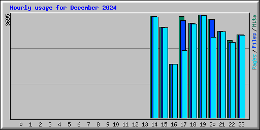 Hourly usage for December 2024