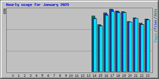 Hourly usage for January 2025