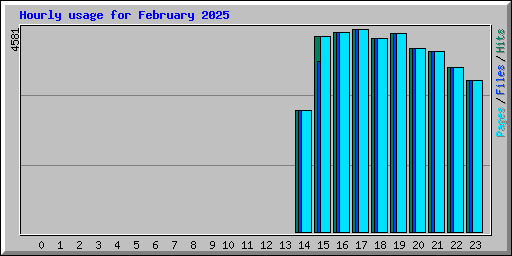 Hourly usage for February 2025
