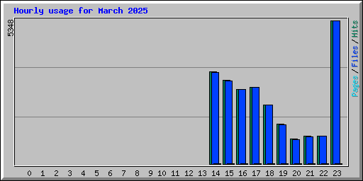 Hourly usage for March 2025