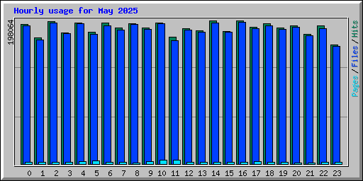 Hourly usage for May 2025