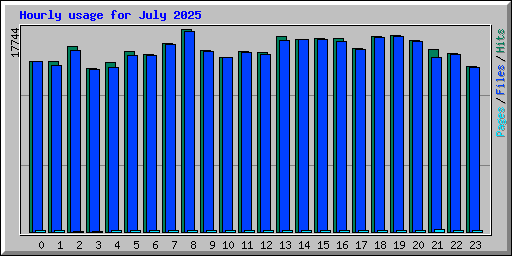 Hourly usage for July 2025