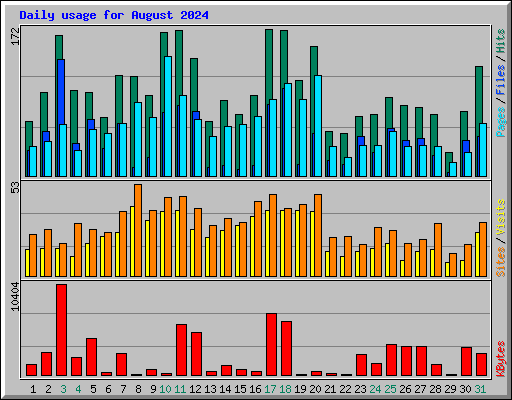 Daily usage for August 2024