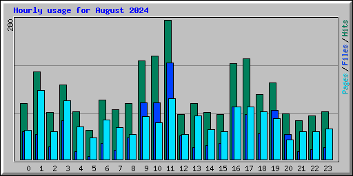 Hourly usage for August 2024