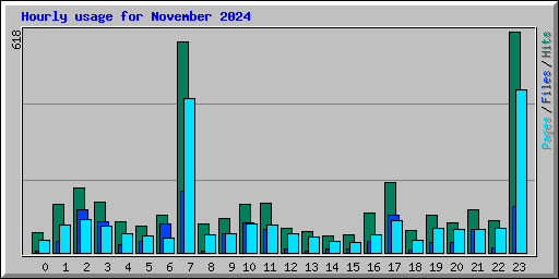 Hourly usage for November 2024