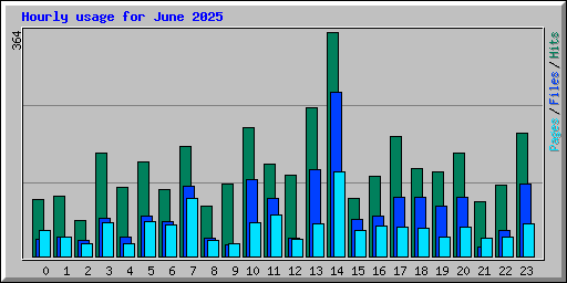 Hourly usage for June 2025