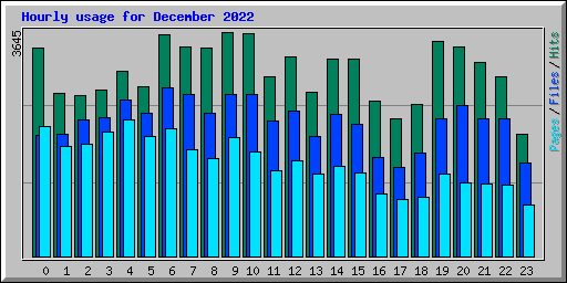 Hourly usage for December 2022