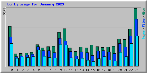 Hourly usage for January 2023