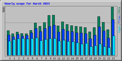 Hourly usage for March 2023