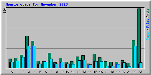 Hourly usage for November 2025